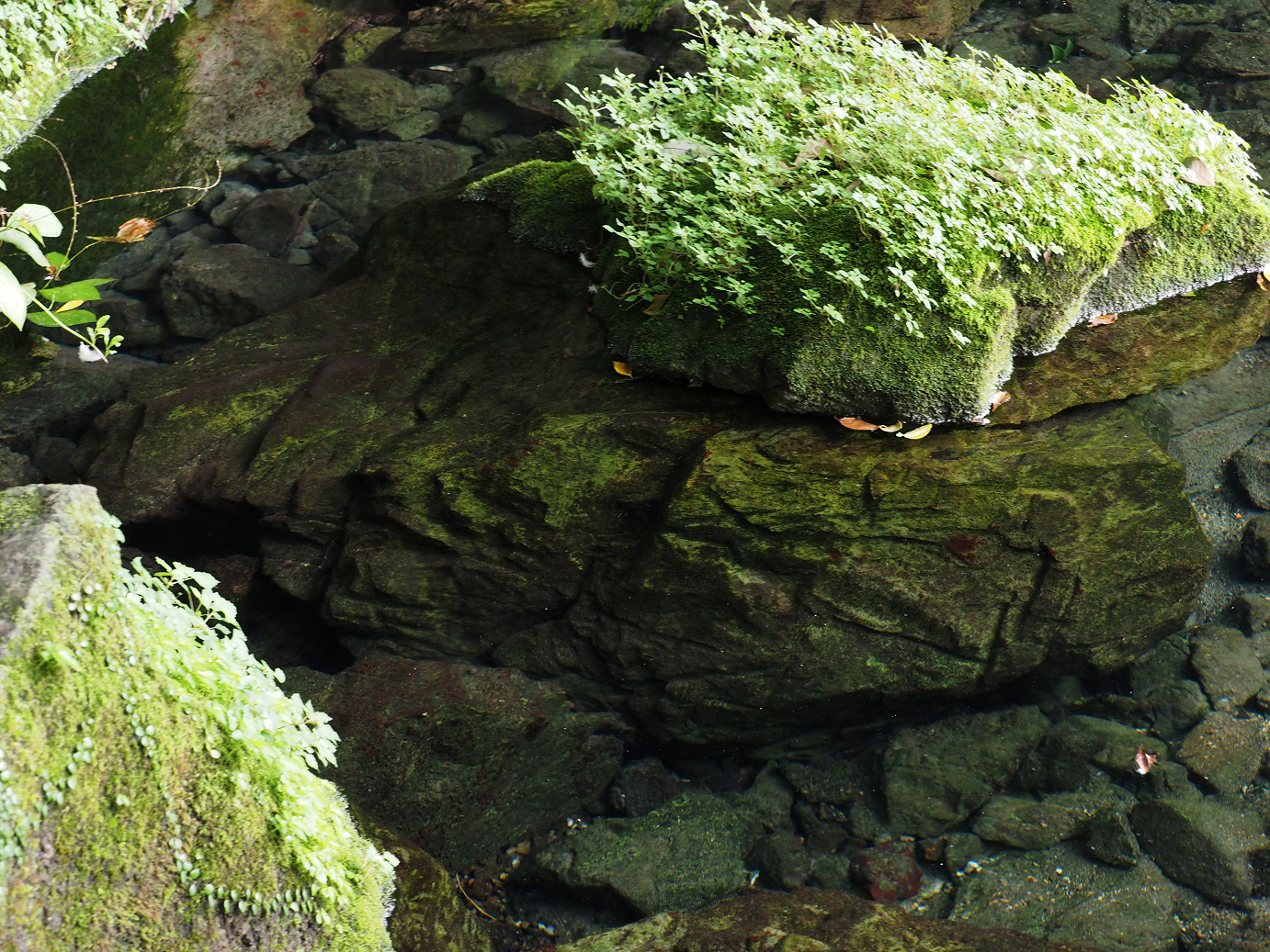 PA020479.jpg