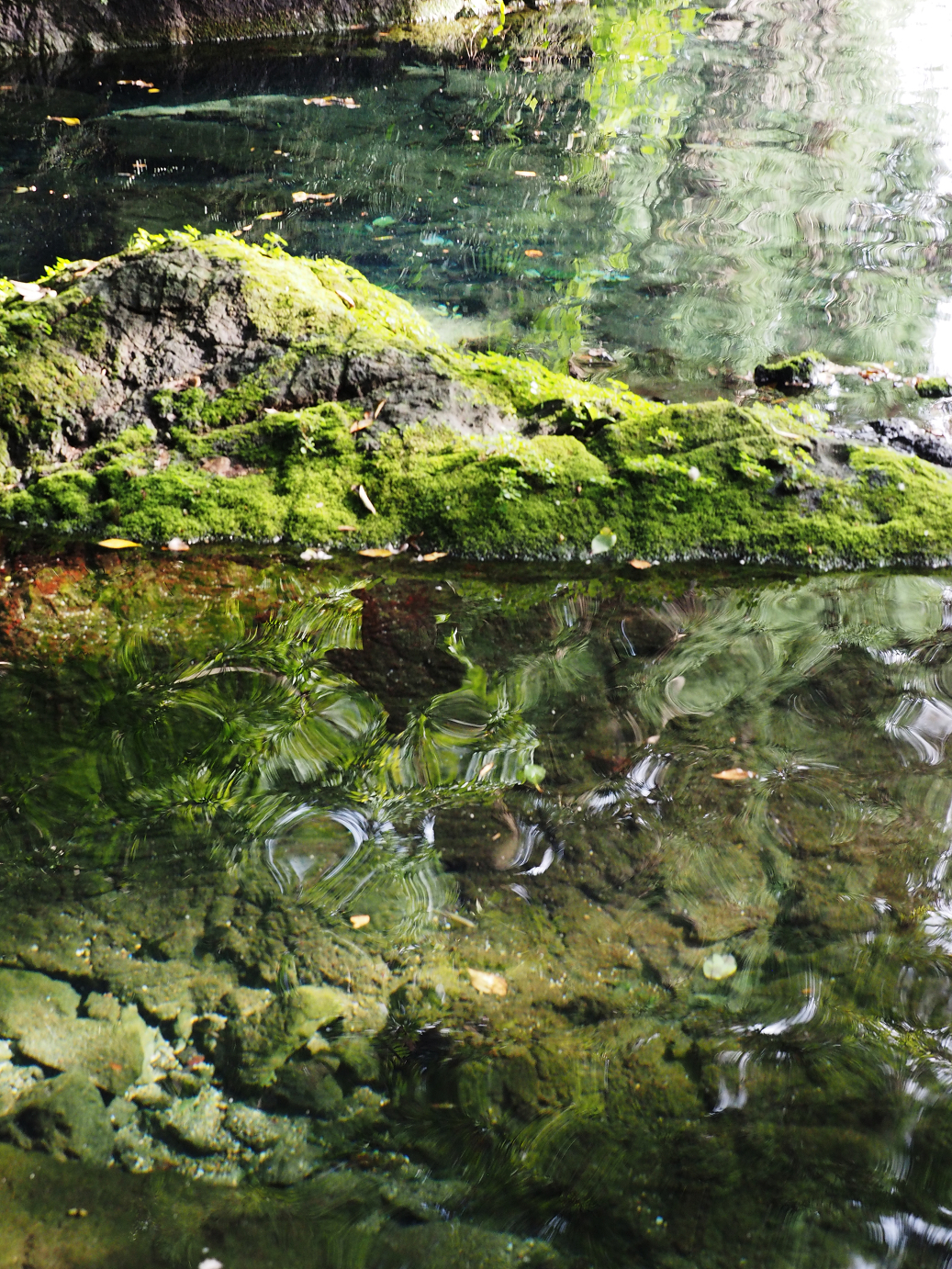 PA020481.jpg