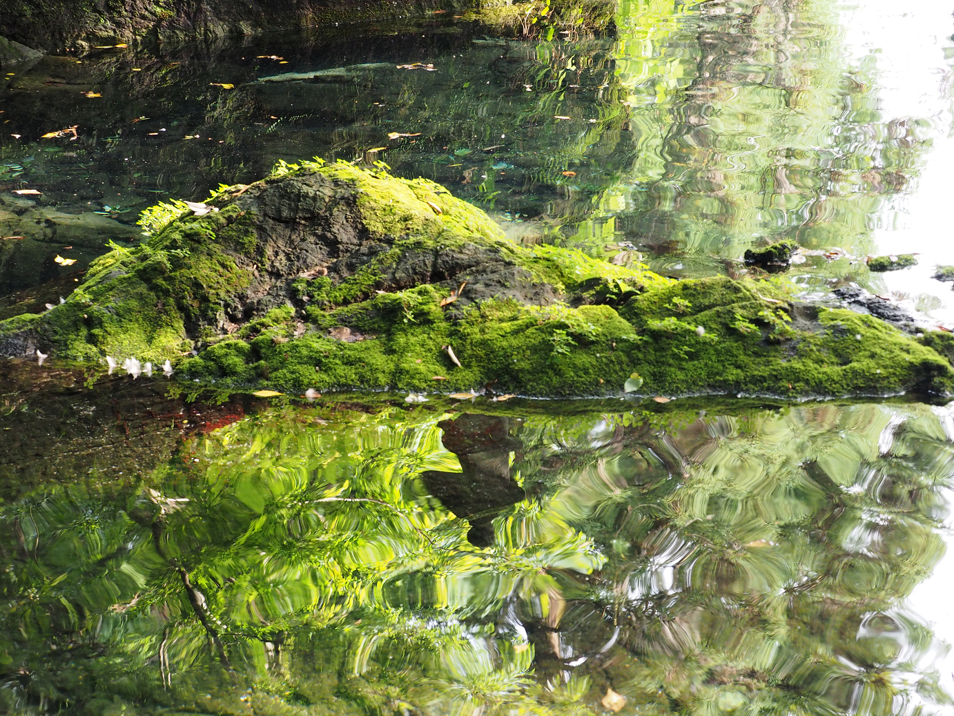 PA020482.jpg