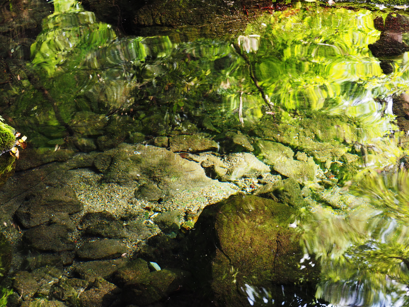 PA020485.jpg