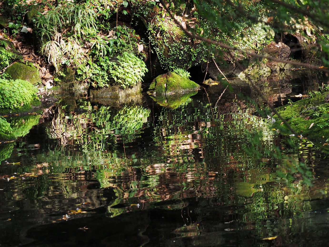 PA020487.jpg