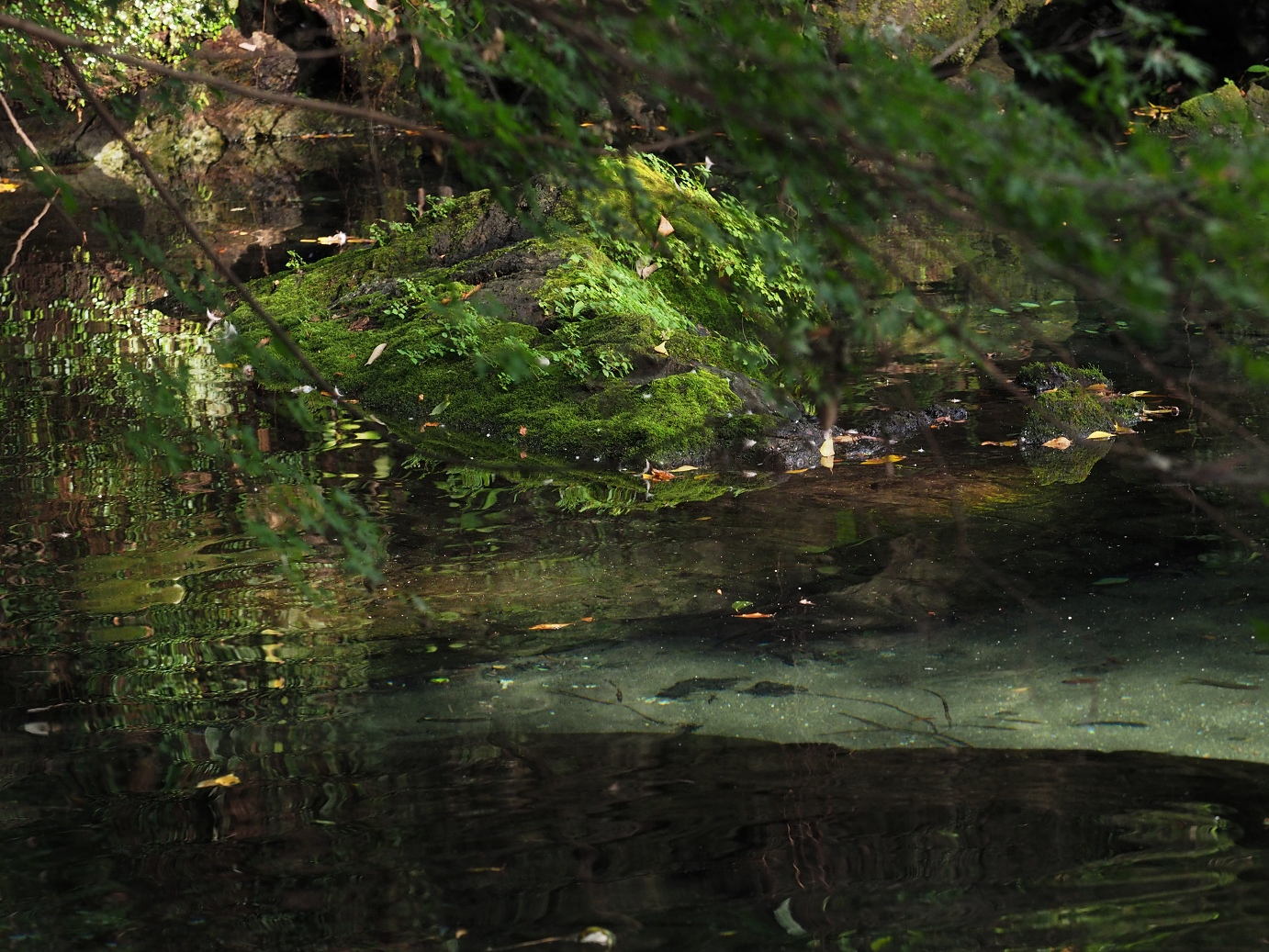 PA020488.jpg