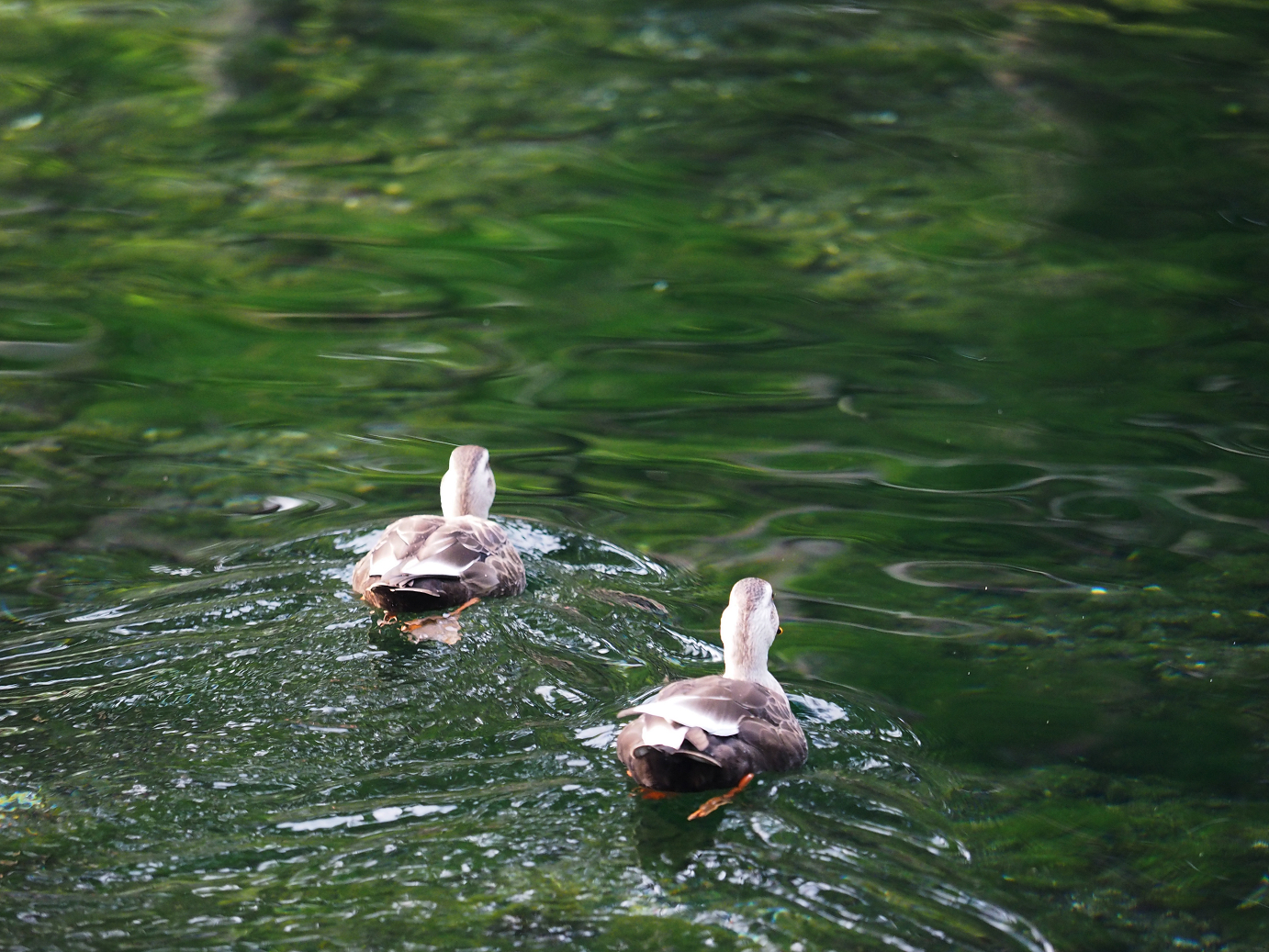 PA020505.jpg