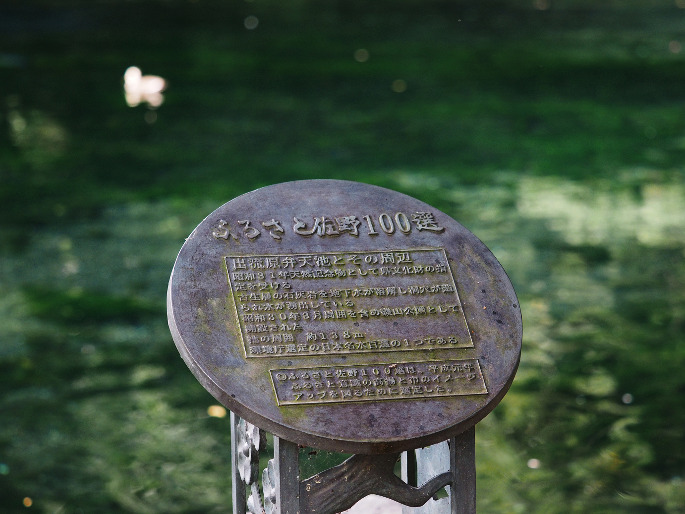 PA020506.jpg