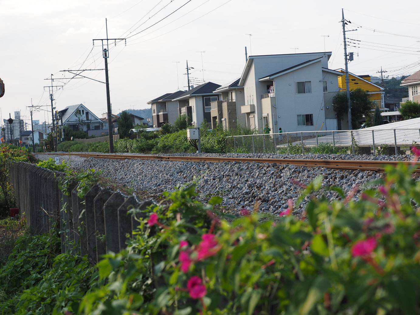 PA020550.jpg