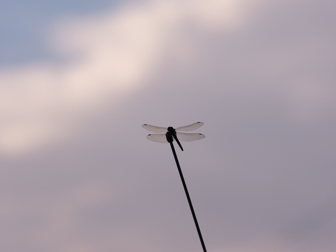 PA020594.jpg