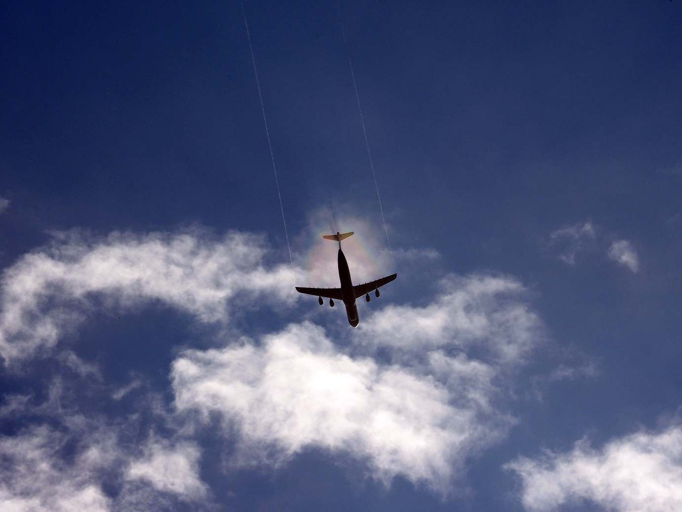 PA020617.jpg