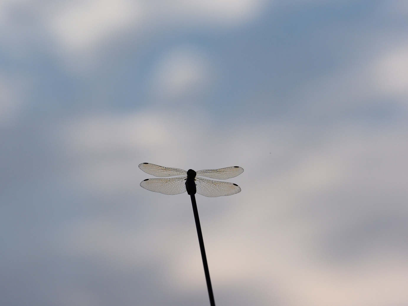 PA020622.jpg