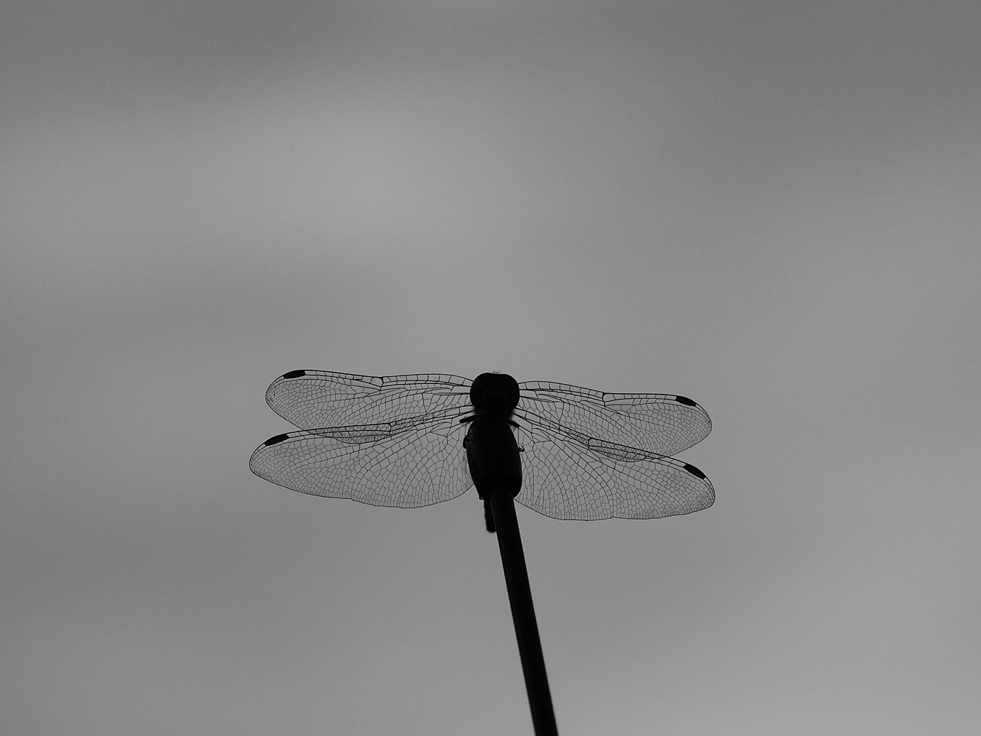 PA020623.jpg