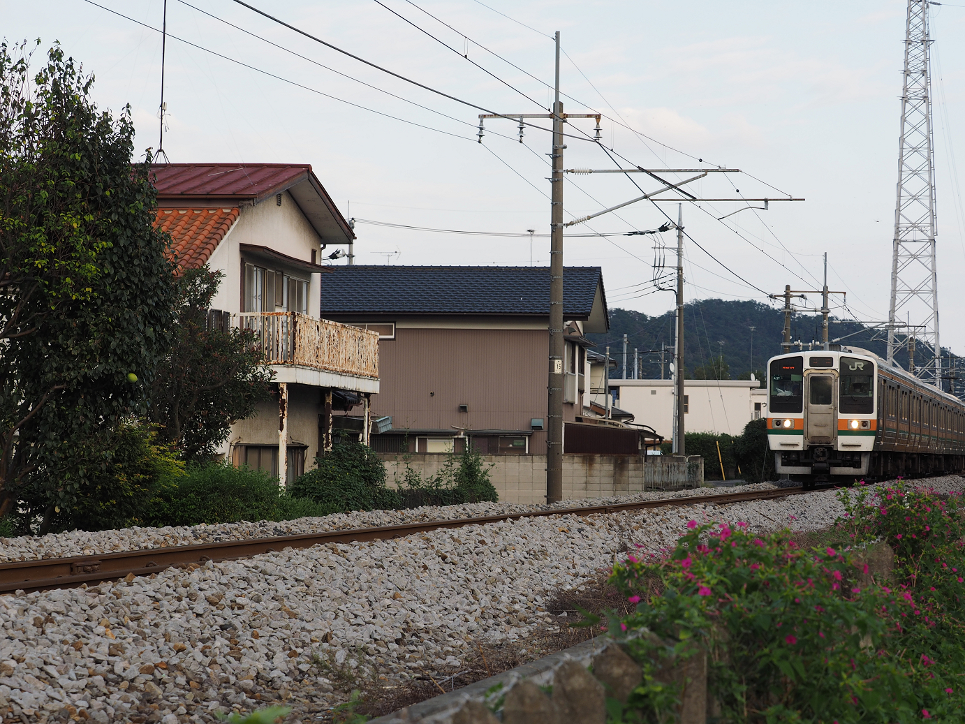 PA020624.jpg