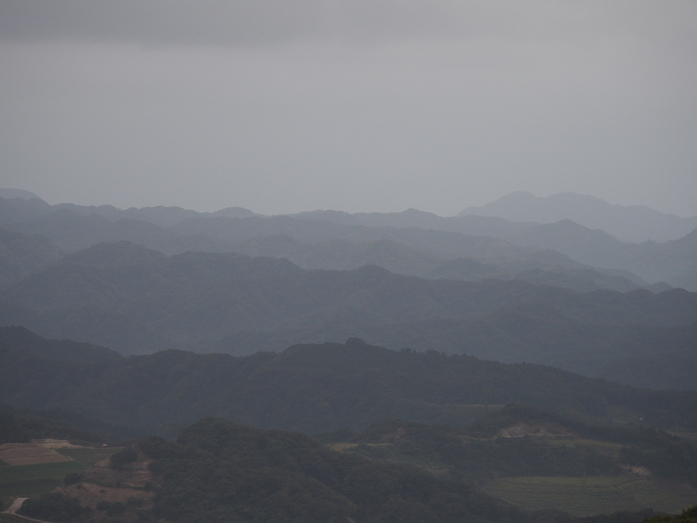 PA080093.jpg