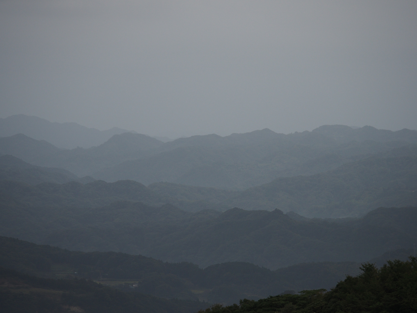 PA080099.jpg