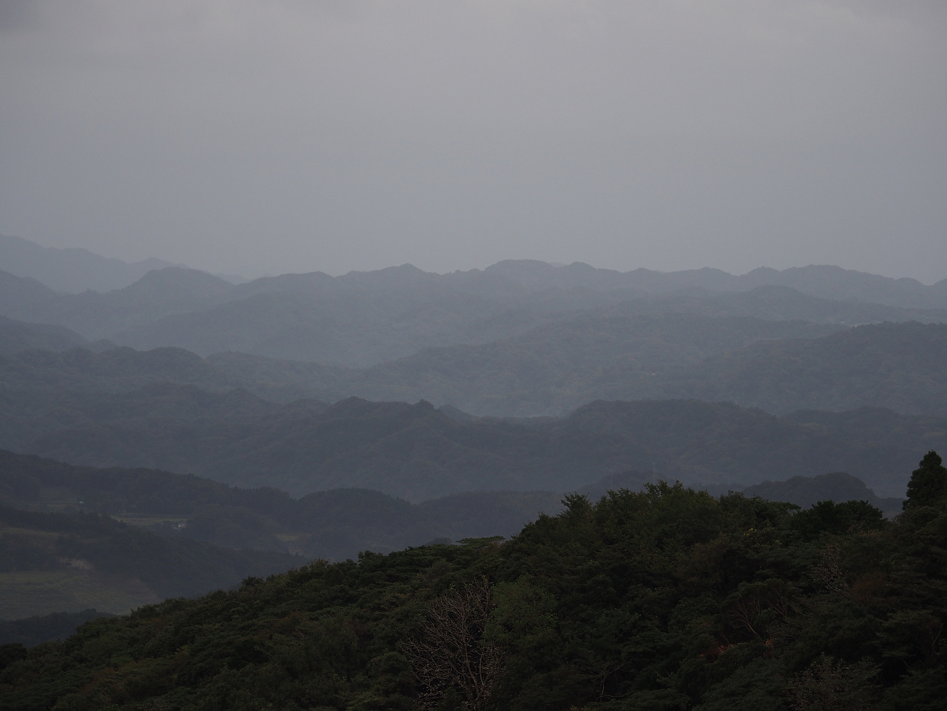 PA080101.jpg