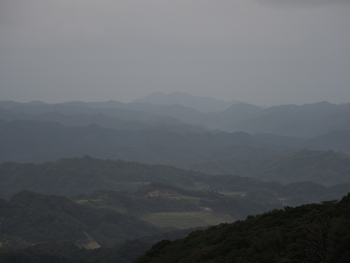 PA080108.jpg