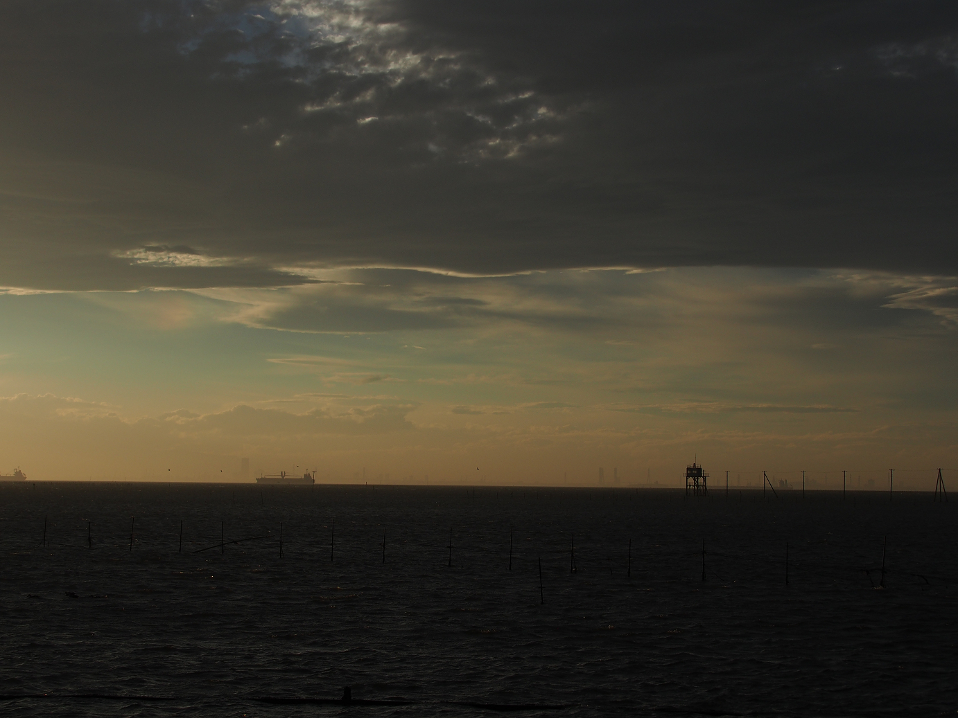 PA080124.jpg