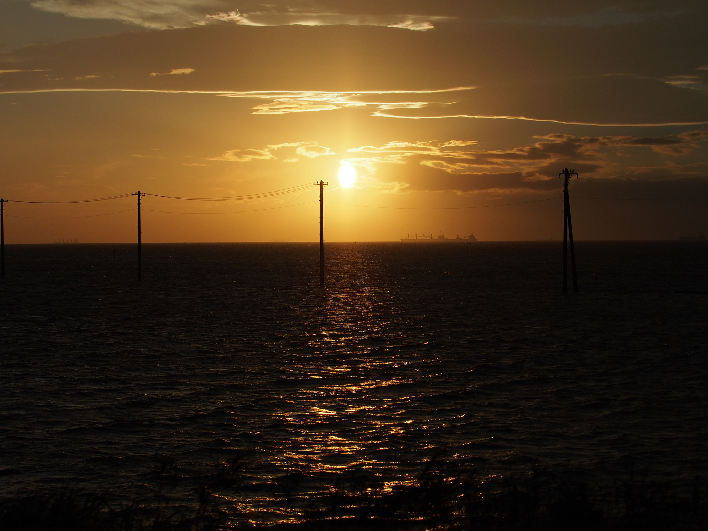 PA080137.jpg