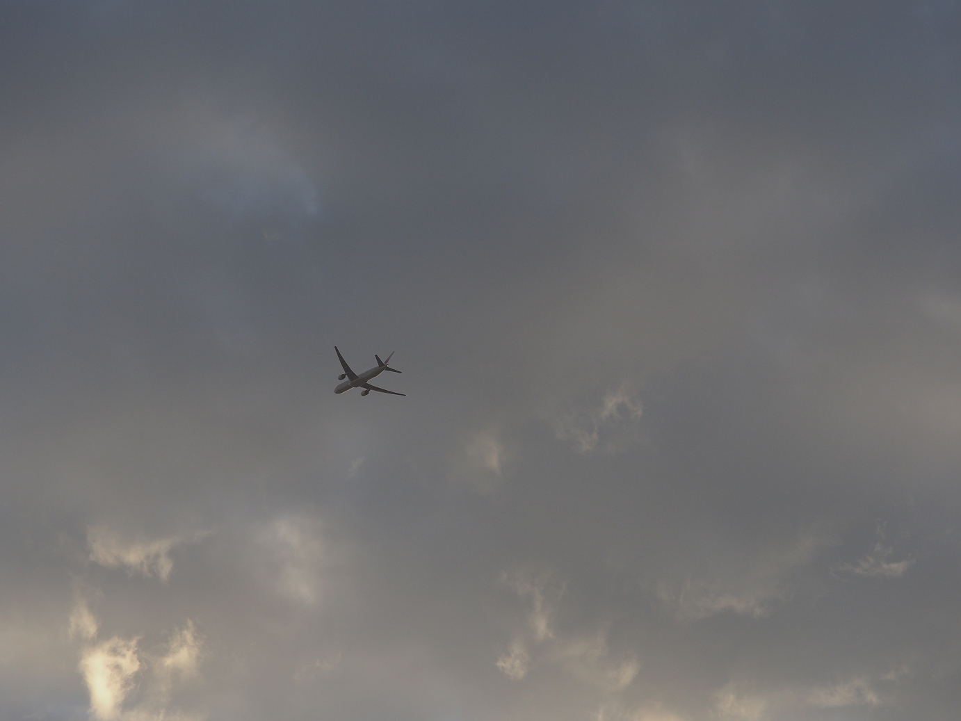 PA080144.jpg