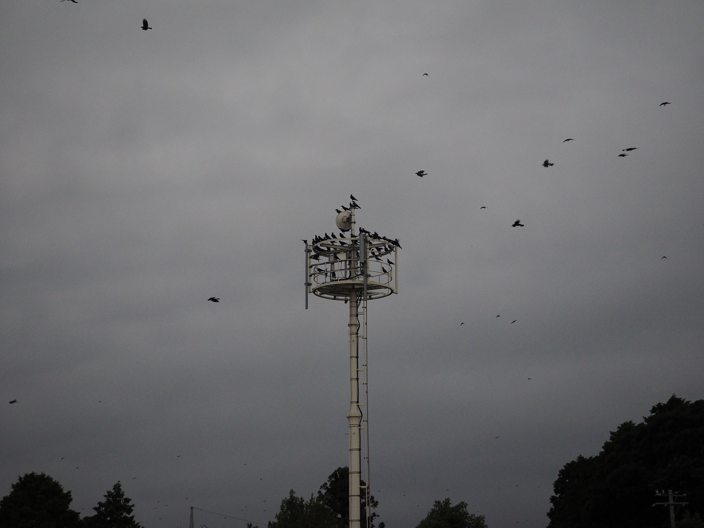 PA080045.jpg