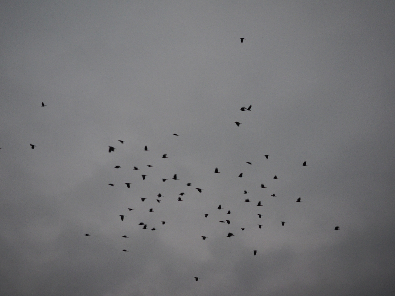 PA080047.jpg