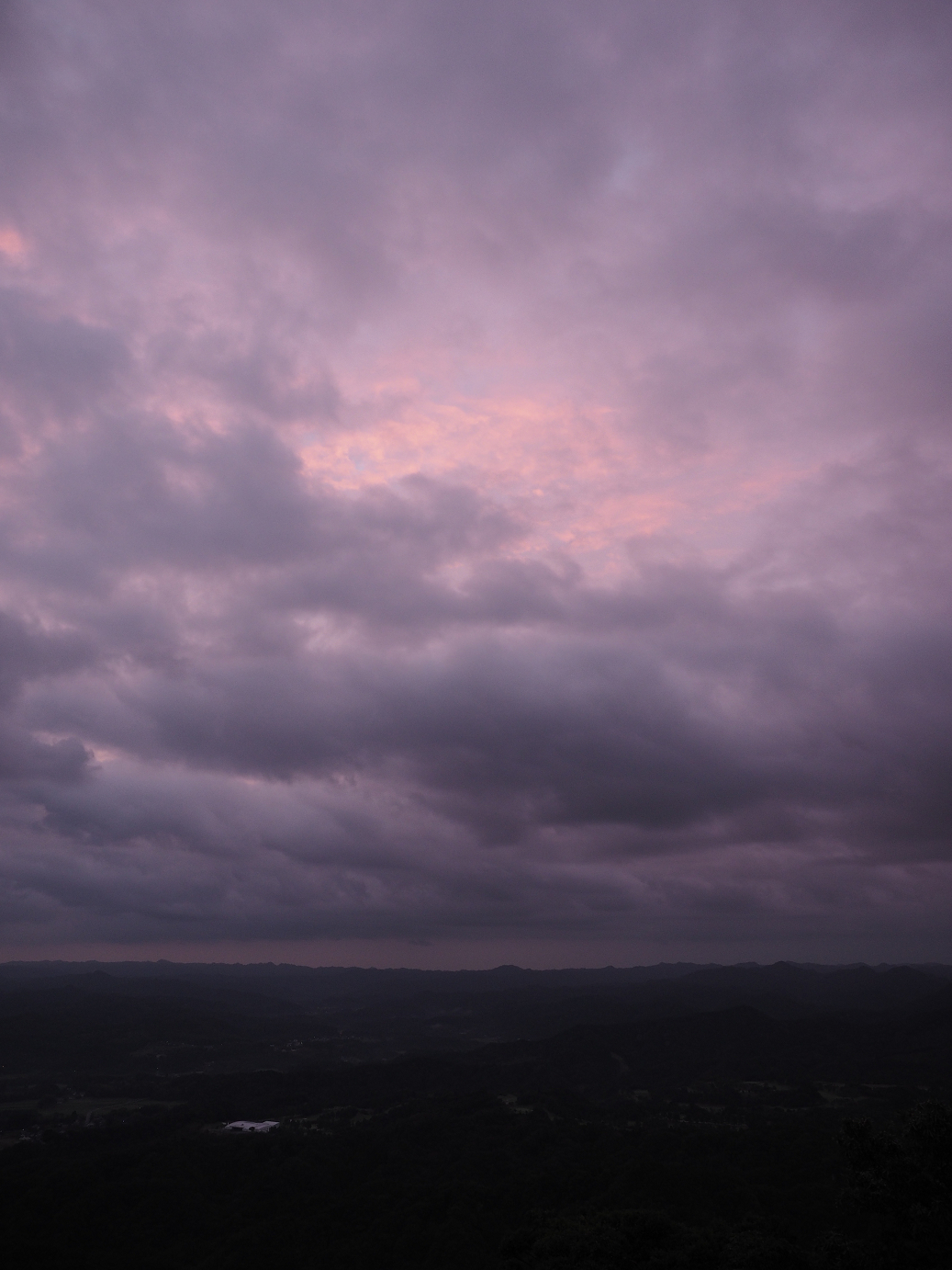 PA080050.jpg