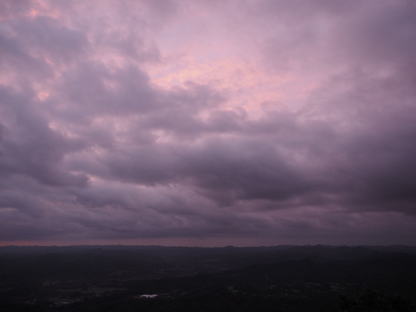 PA080051.jpg