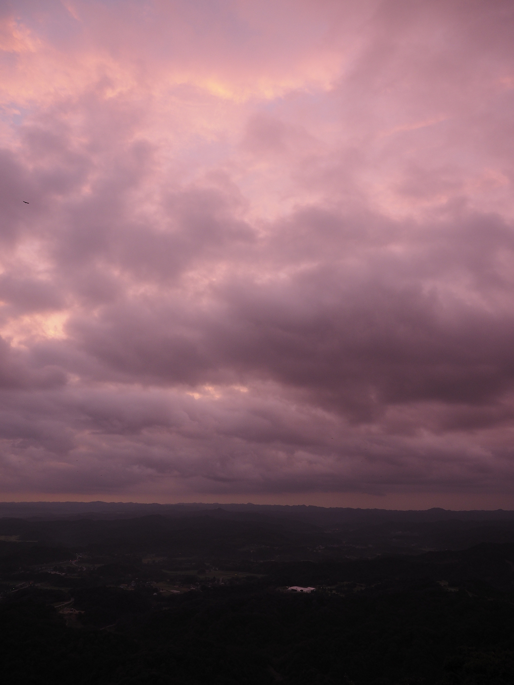 PA080053.jpg