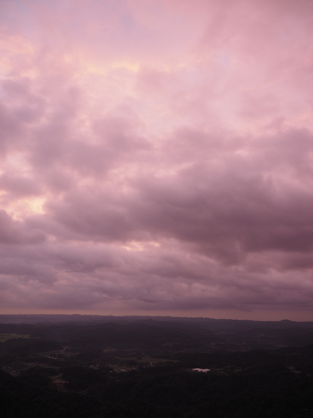 PA080054.jpg