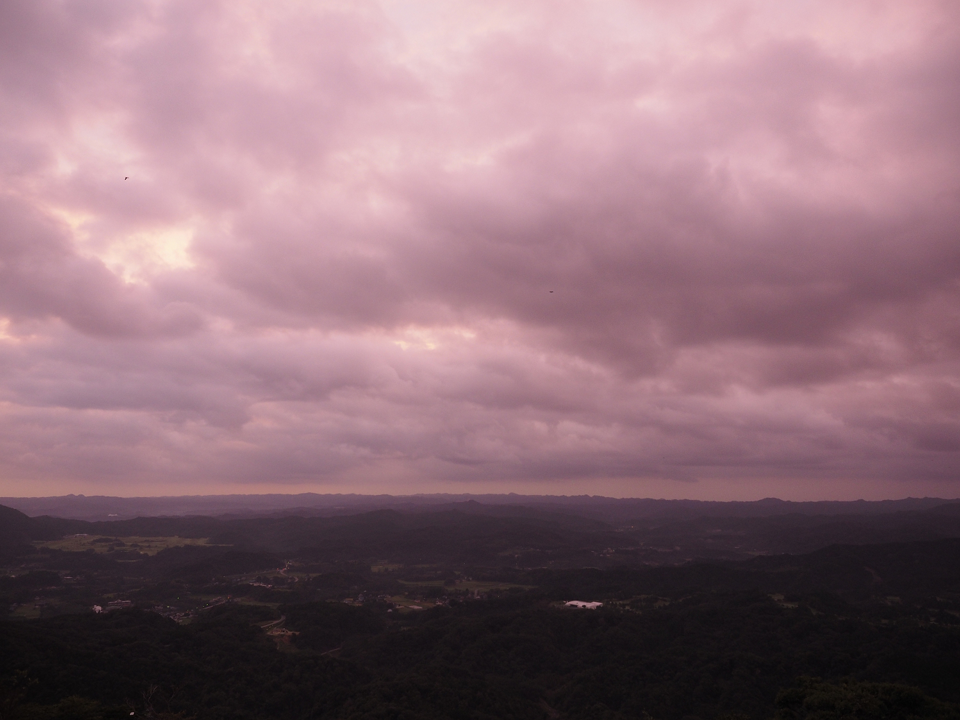 PA080055.jpg