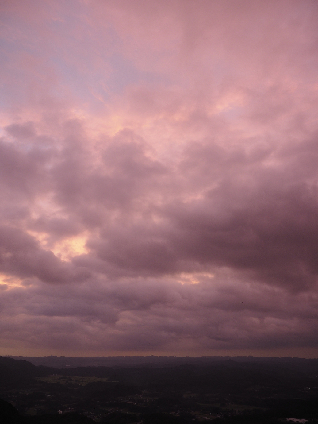 PA080056.jpg