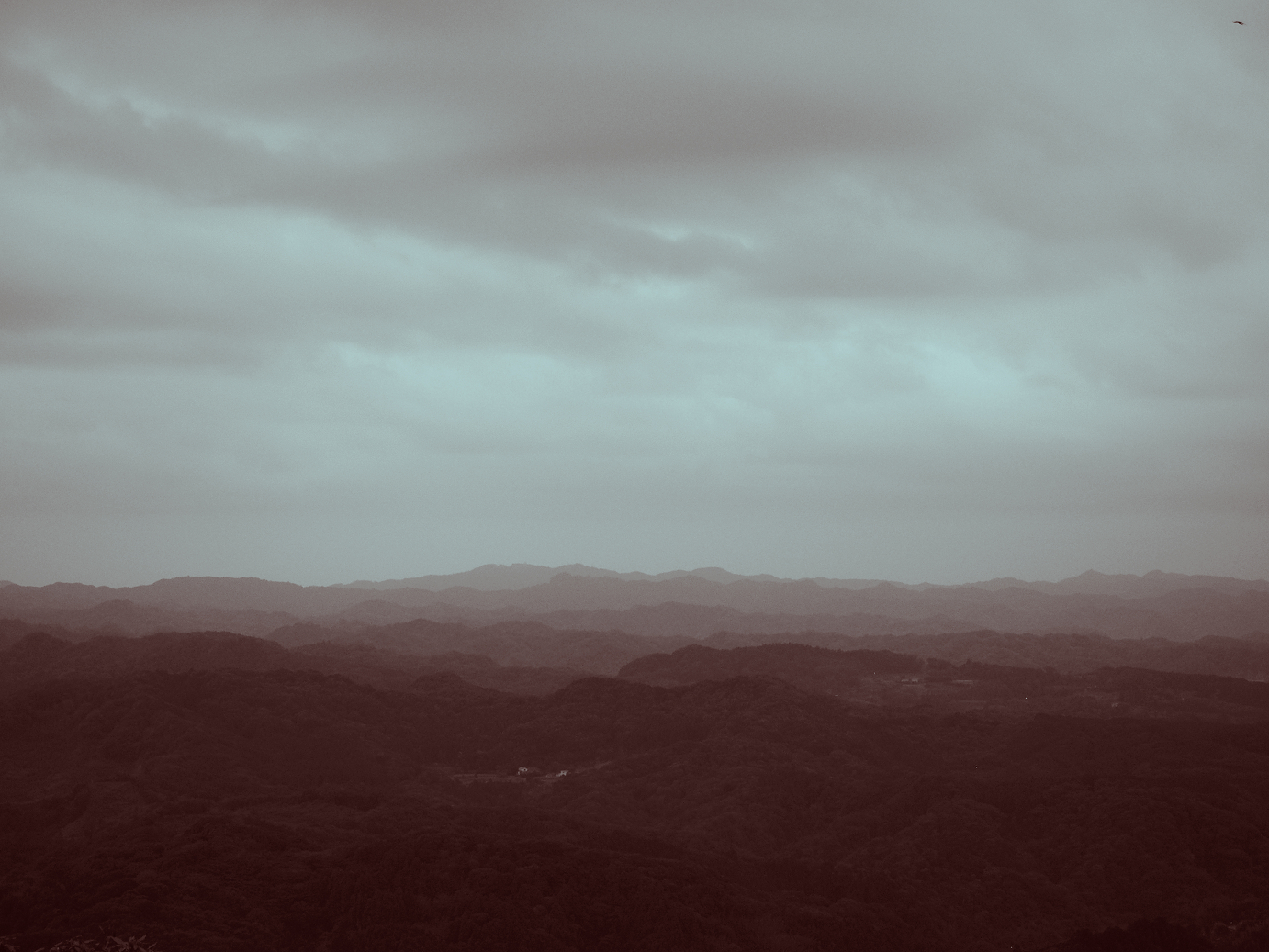 PA080058.jpg