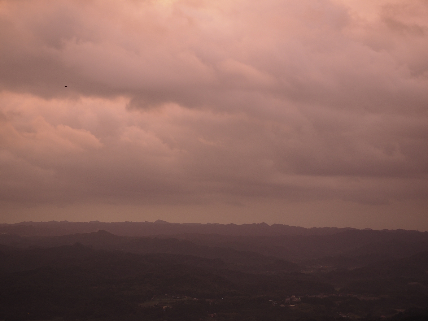 PA080062.jpg