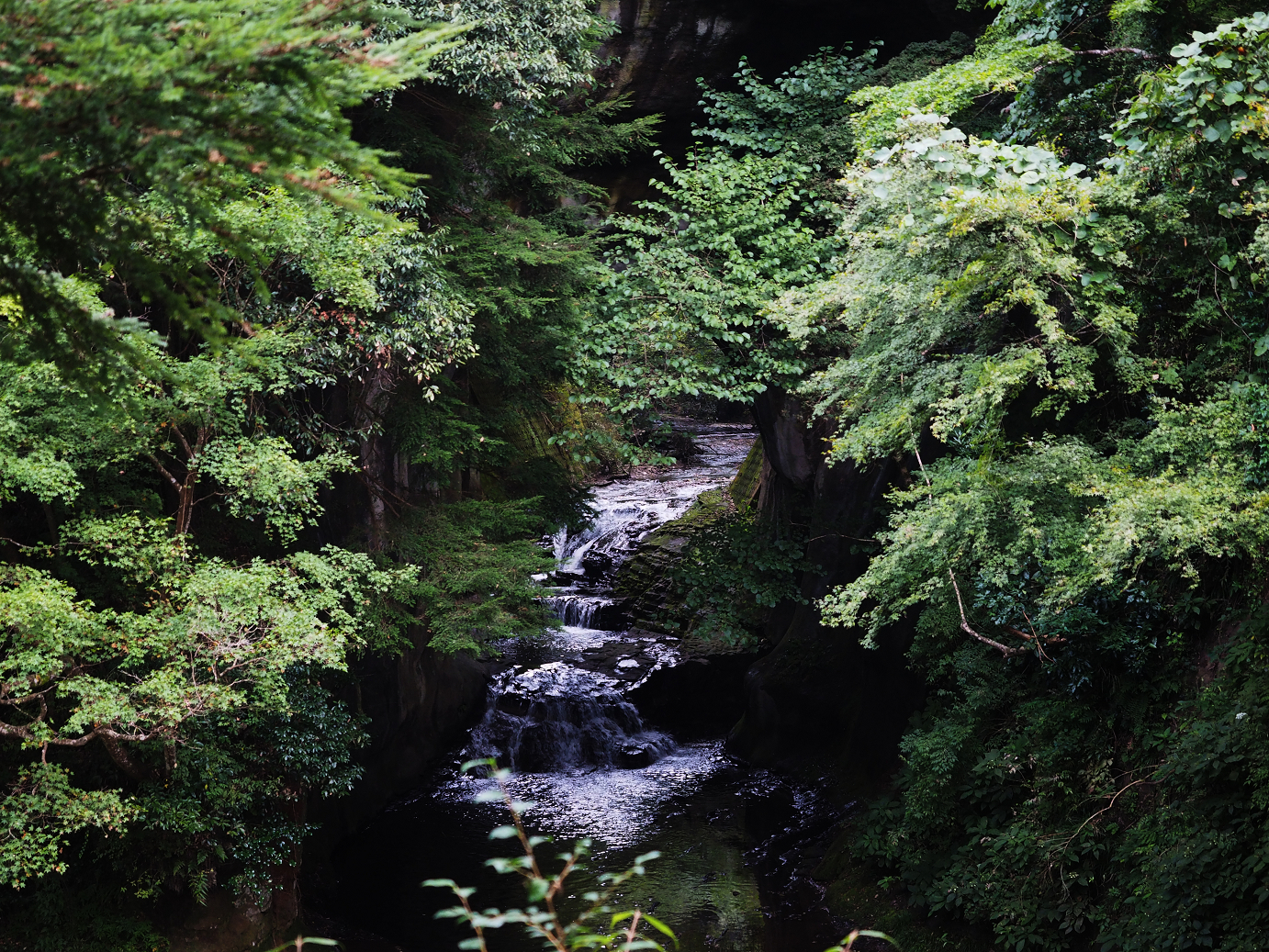 PA080080.jpg