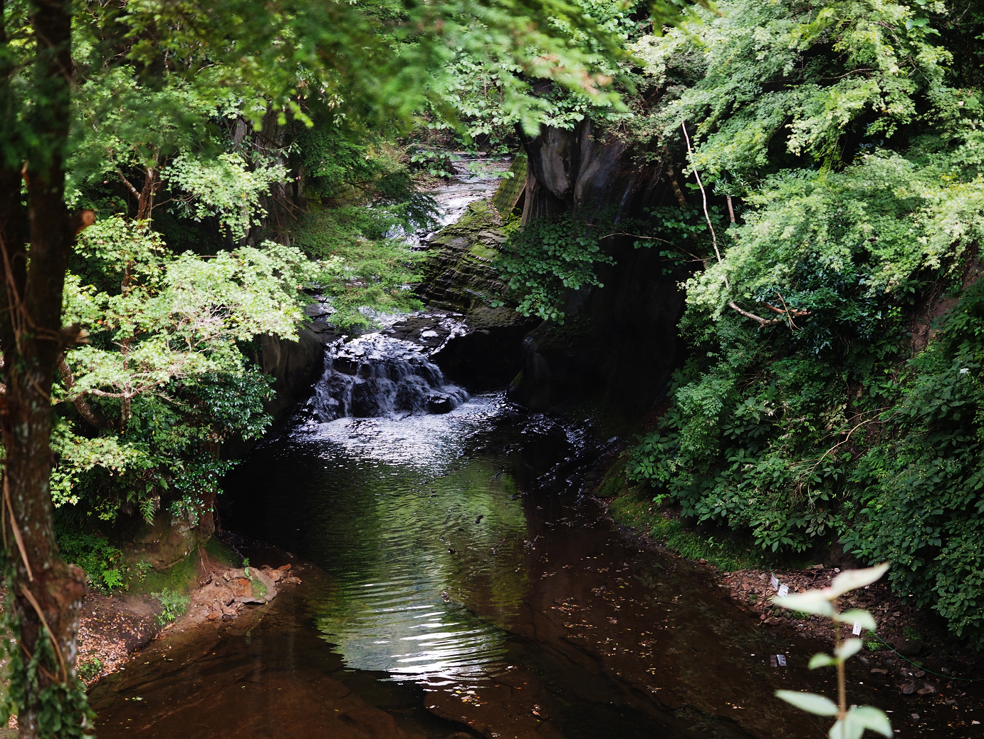 PA080081.jpg