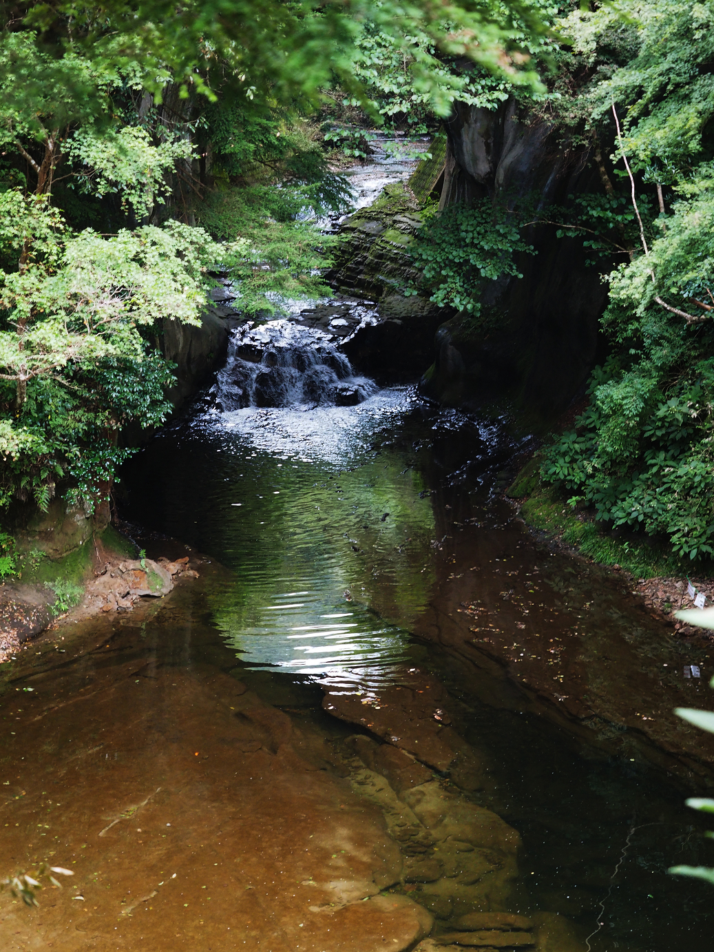 PA080082.jpg