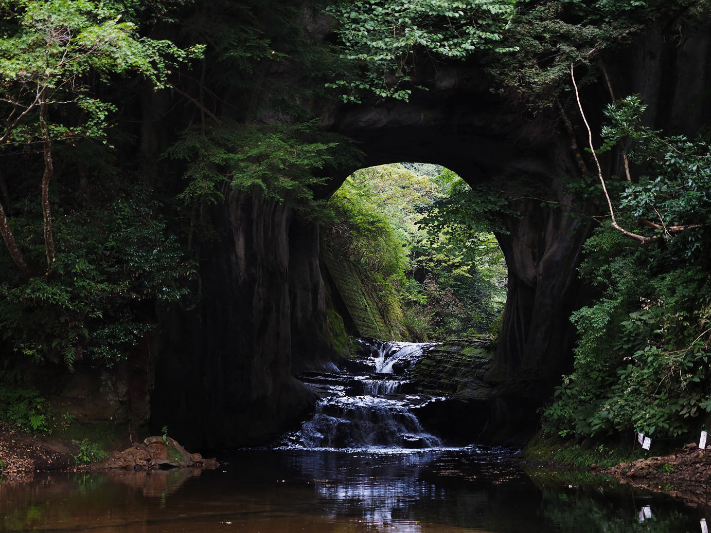 PA080089.jpg