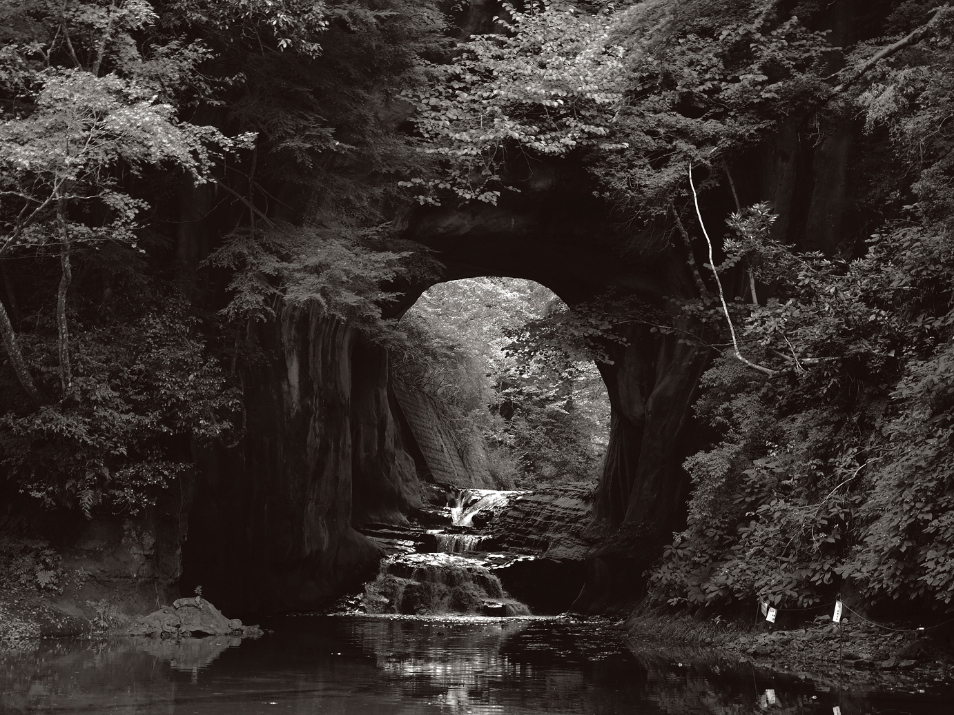 PA080094-.jpg
