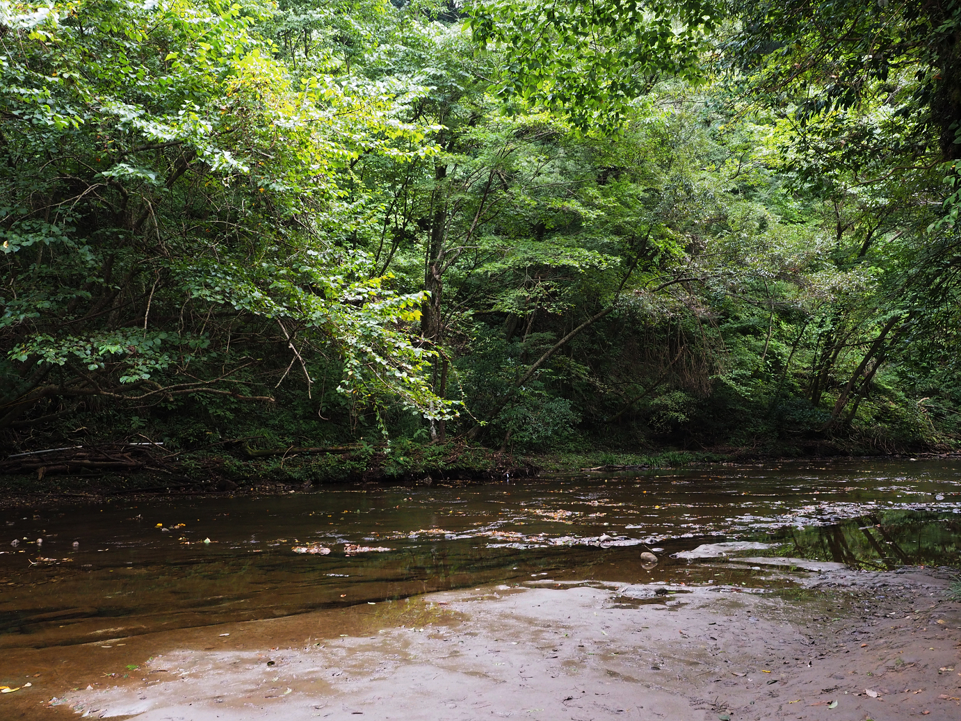 PA080096.jpg