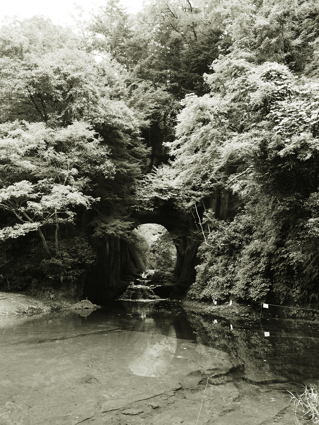 PA080098.jpg