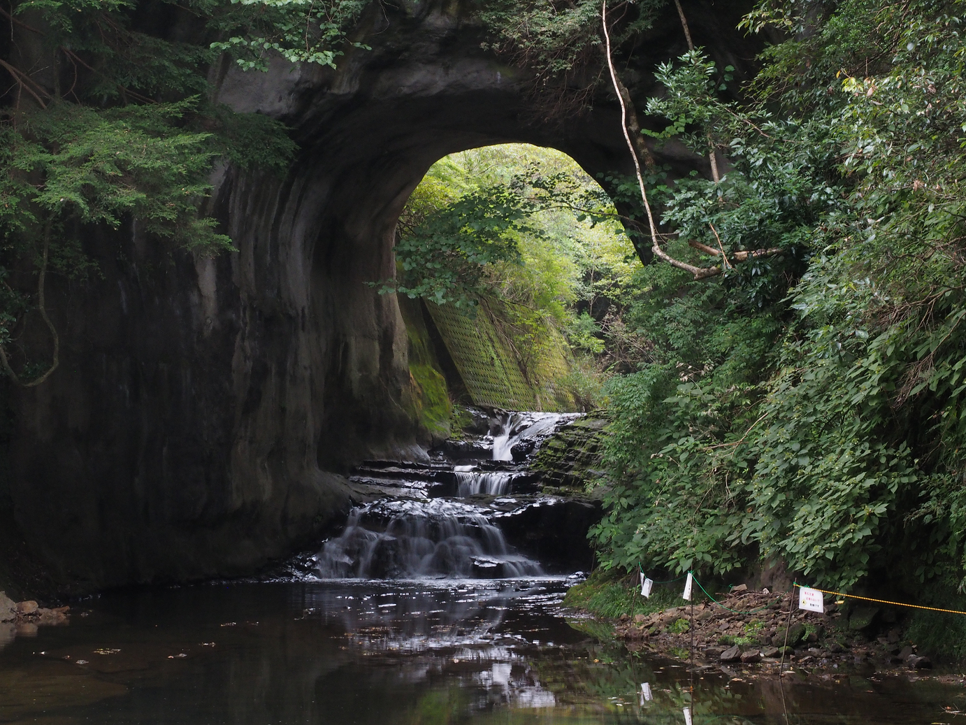 PA080110.jpg