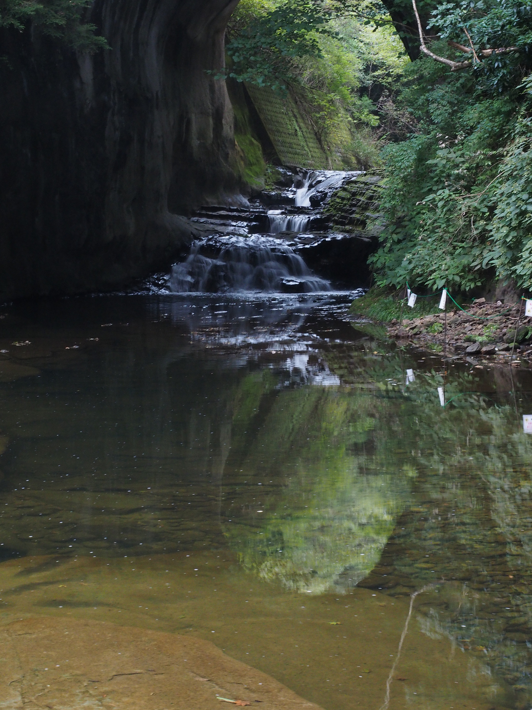 PA080115.jpg