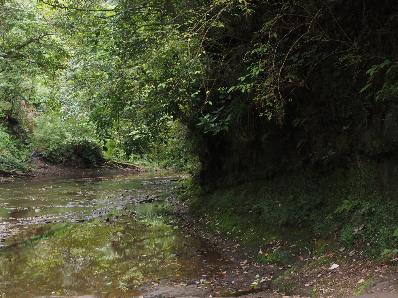 PA080116.jpg