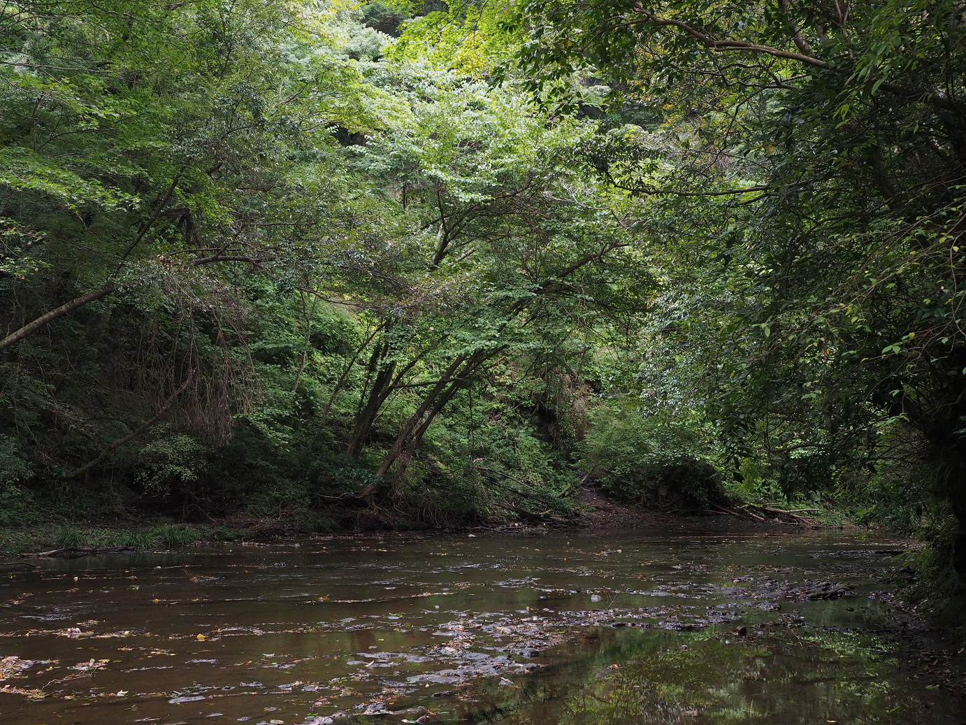 PA080120.jpg