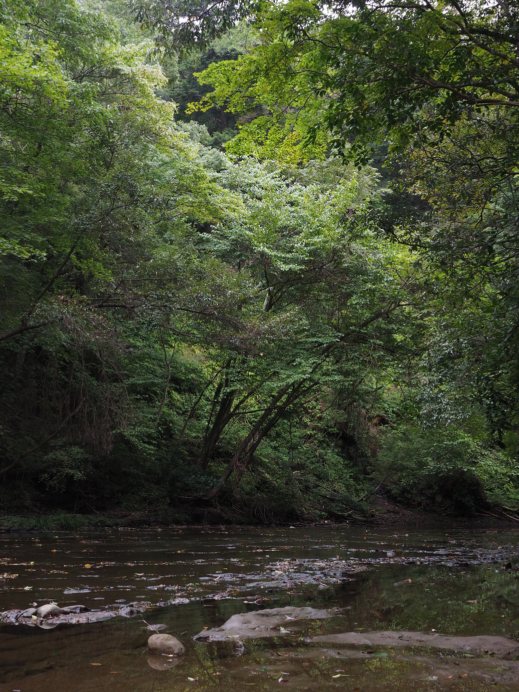 PA080124.jpg
