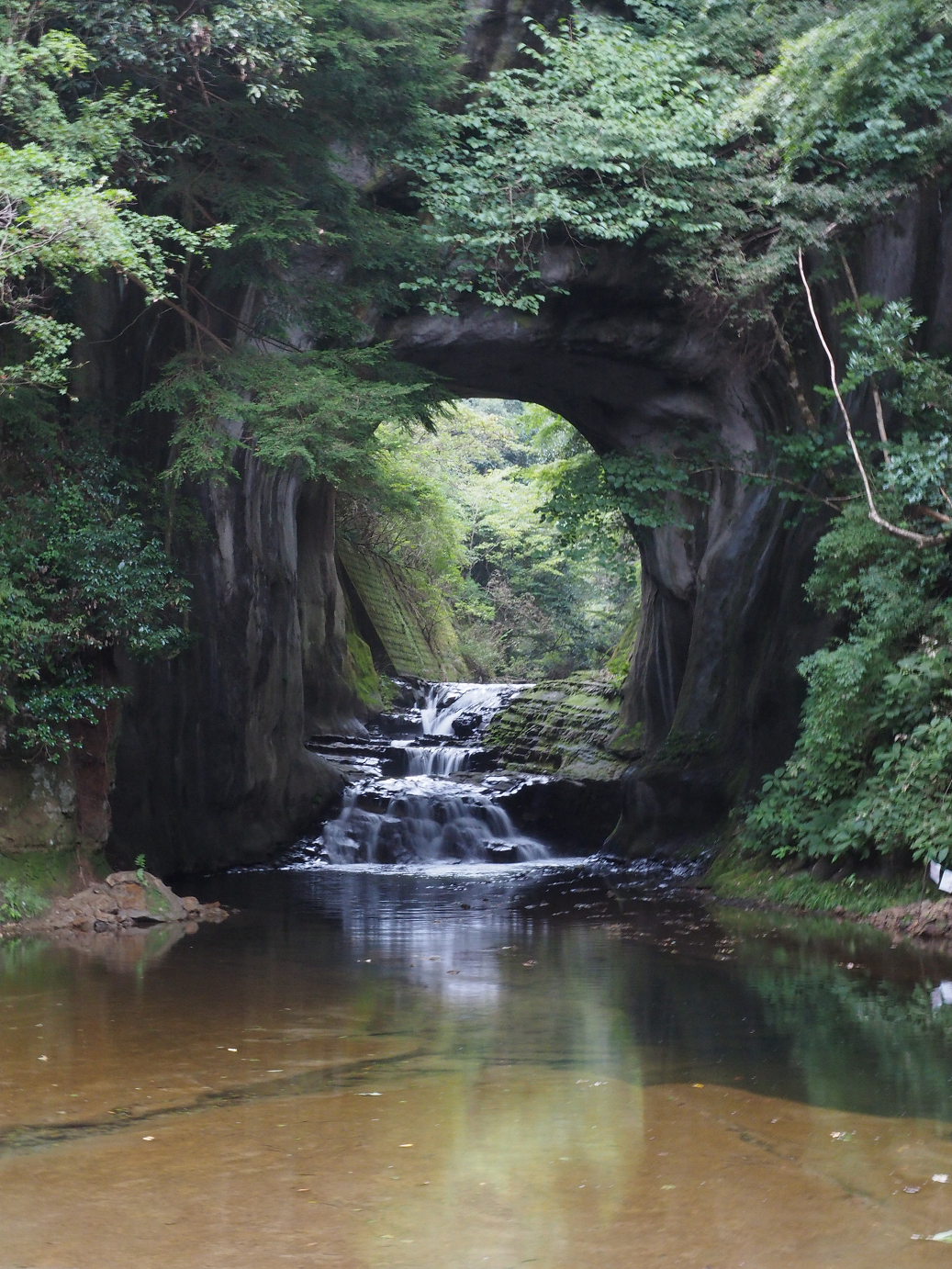 PA080128.jpg