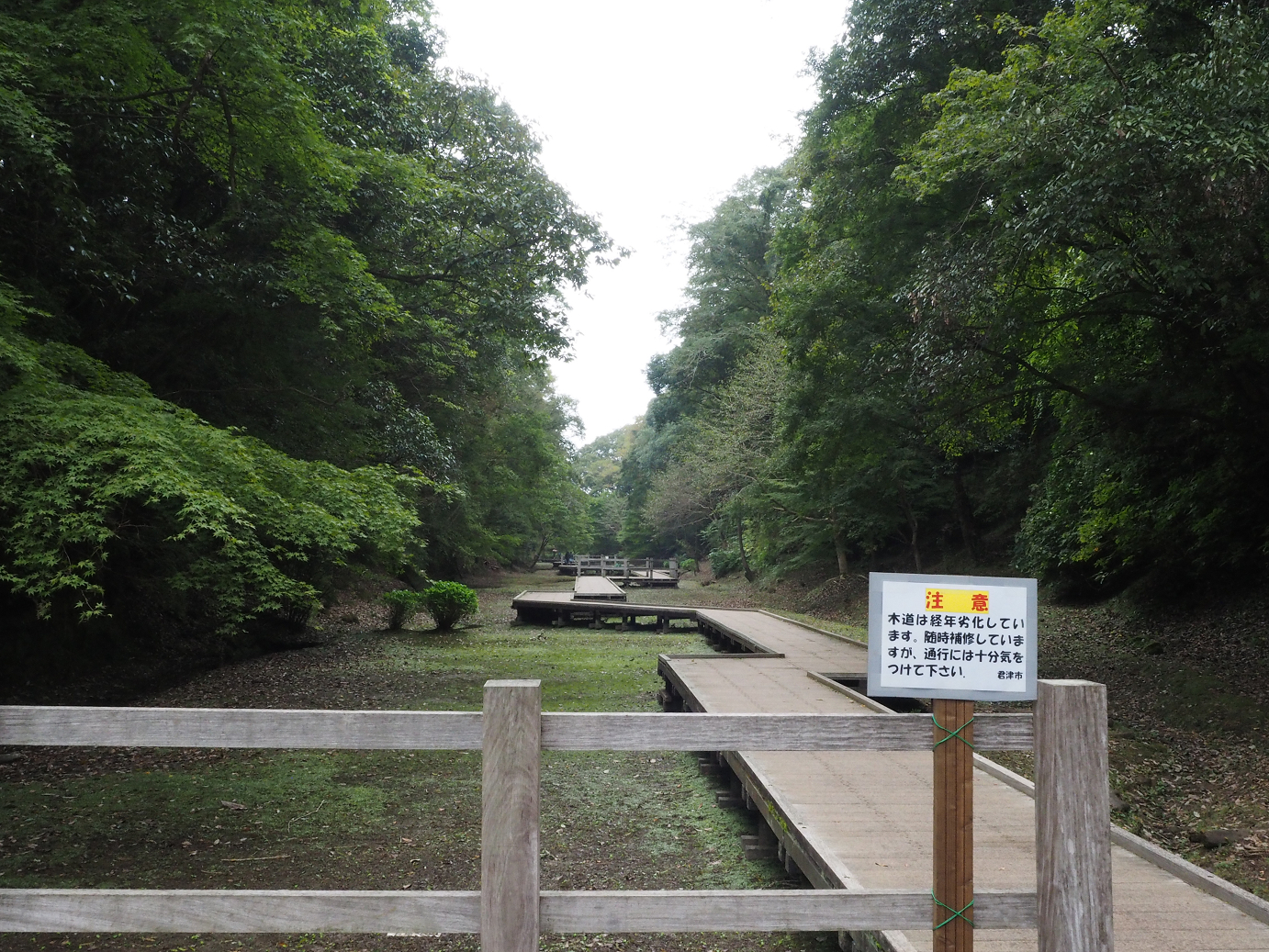 PA080132.jpg