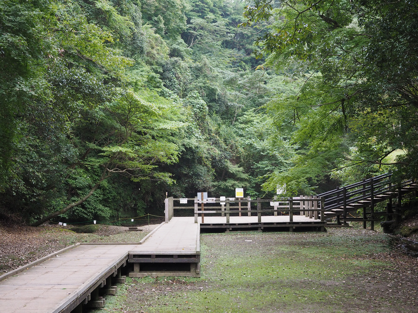 PA080134.jpg