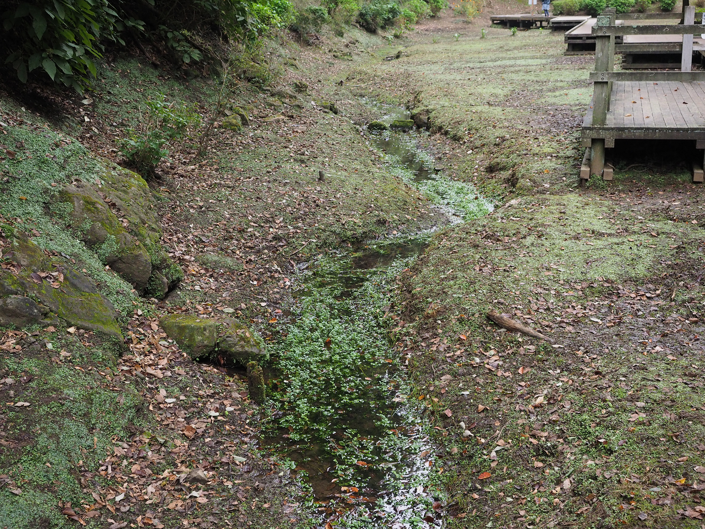 PA080135.jpg