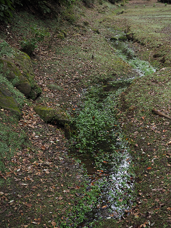 PA080136_thumb.png