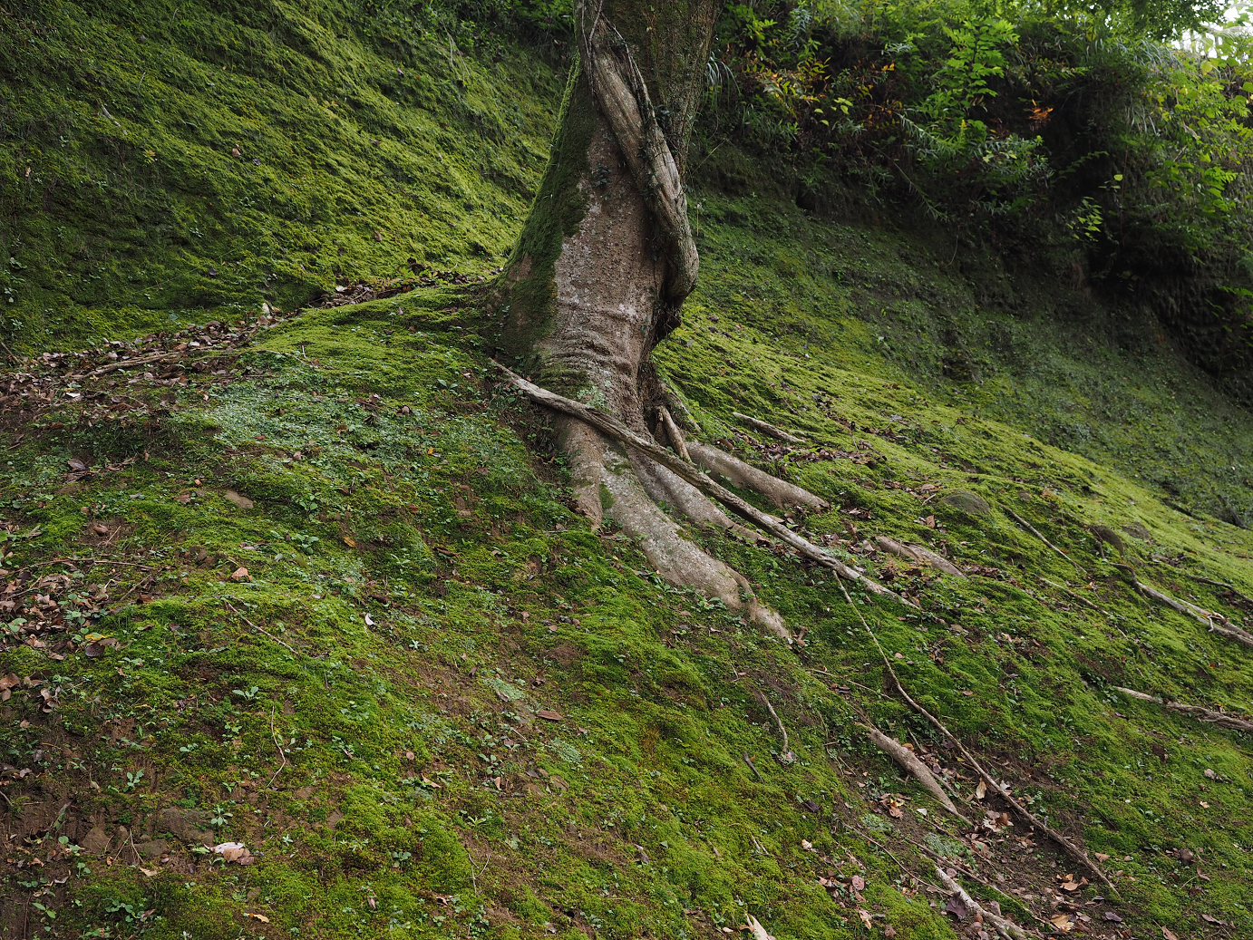 PA080138.jpg