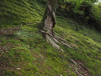 PA080138_thumb.png